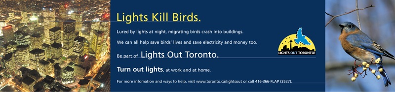 Lights Out Toronto's banner message that Lights Kill Birds.   Lured by lights at night, migrating birds crash into buildings.